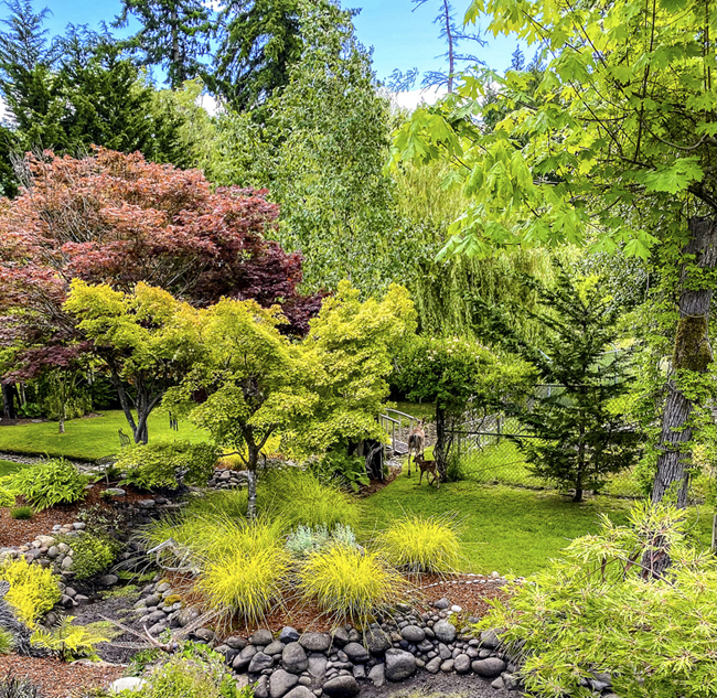 Landscaping Company In Gig Harbor North WA