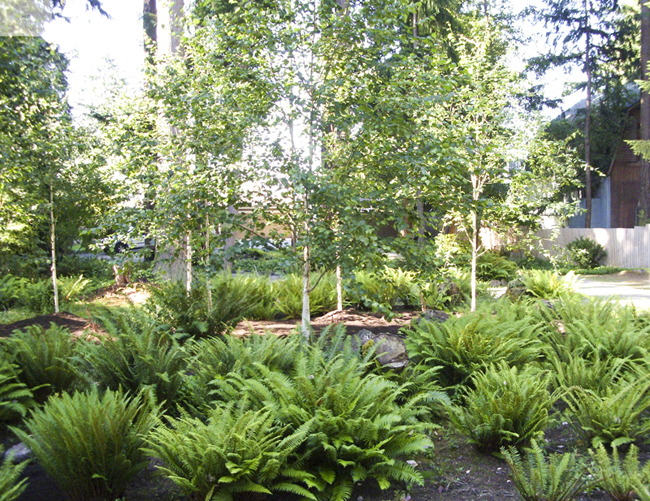 Fox Island WA Landscaping Company